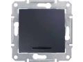             Ажыратқыш 1-пернелі 10А көмескі жарығымен, графит SDN1400170    
