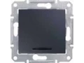             Ажыратқыш 1-пернелі 10А көмескі жарығымен, графит SDN1400170    