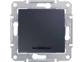             Ажыратқыш 1-пернелі 10А көмескі жарығымен, графит SDN1400170    