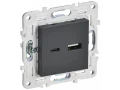             SKANDY Розетка USB A+C 3,1А SK-R14T титан IEK    