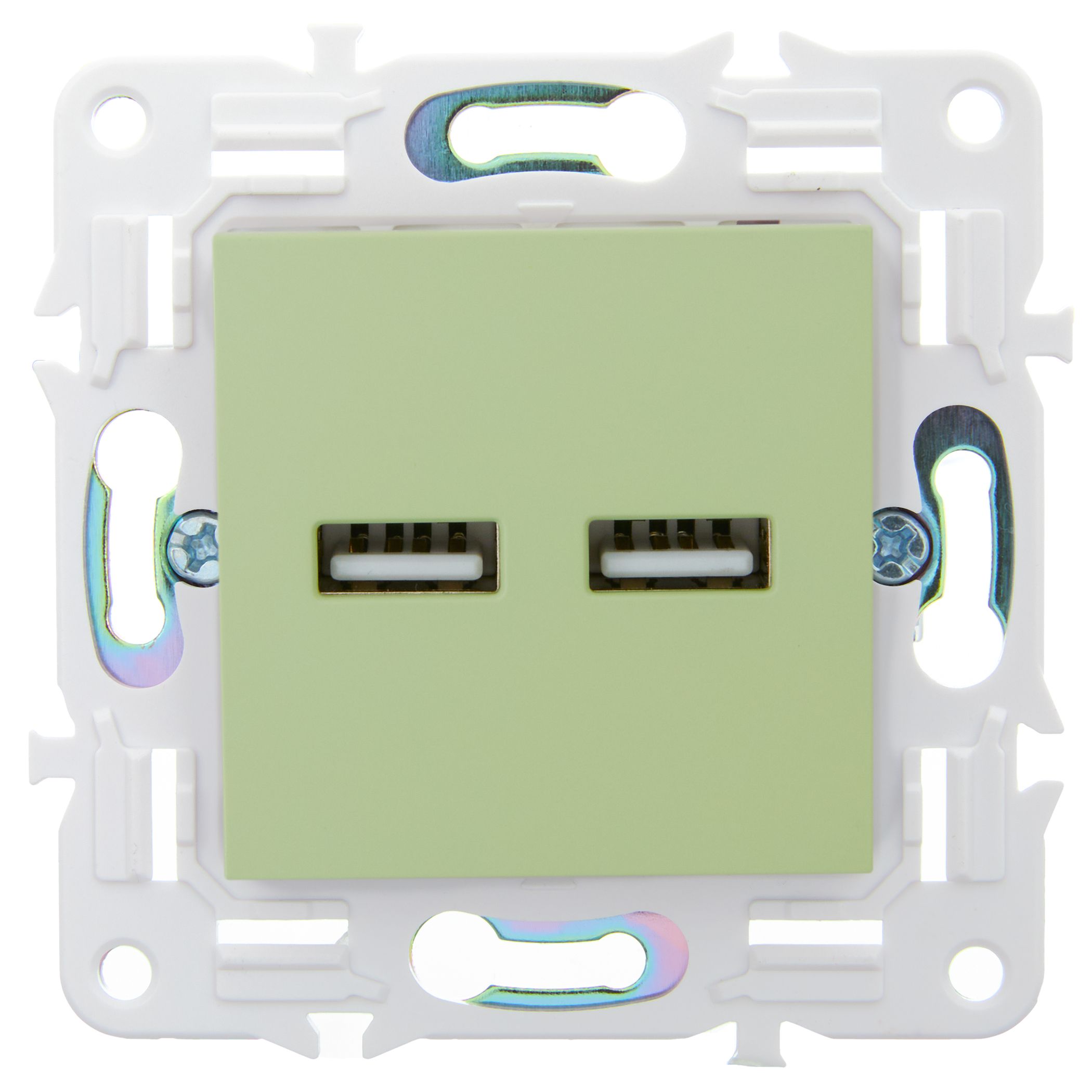             SKANDY Розетка USB A+A 3,1А SK-R15G жалбызды IEK    
