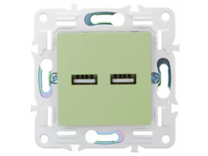 SKANDY Розетка USB A+A 3,1А SK-R15G мятный IEK