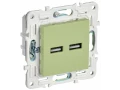             SKANDY Розетка USB A+A 3,1А SK-R15G жалбызды IEK    