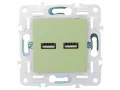             SKANDY Розетка USB A+A 3,1А SK-R15G жалбызды IEK    