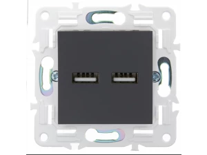 SKANDY Розетка USB A+A 3,1А SK-R15T титан IEK