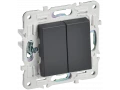             SKANDY Ажыратқыш 2 пернелі, өтпелі 10А SK-V05T титан IEK    