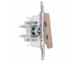             SKANDY Ажыратқыш 2 пернелі, индикациямен 10А SK-V09Sa құм IEK    
