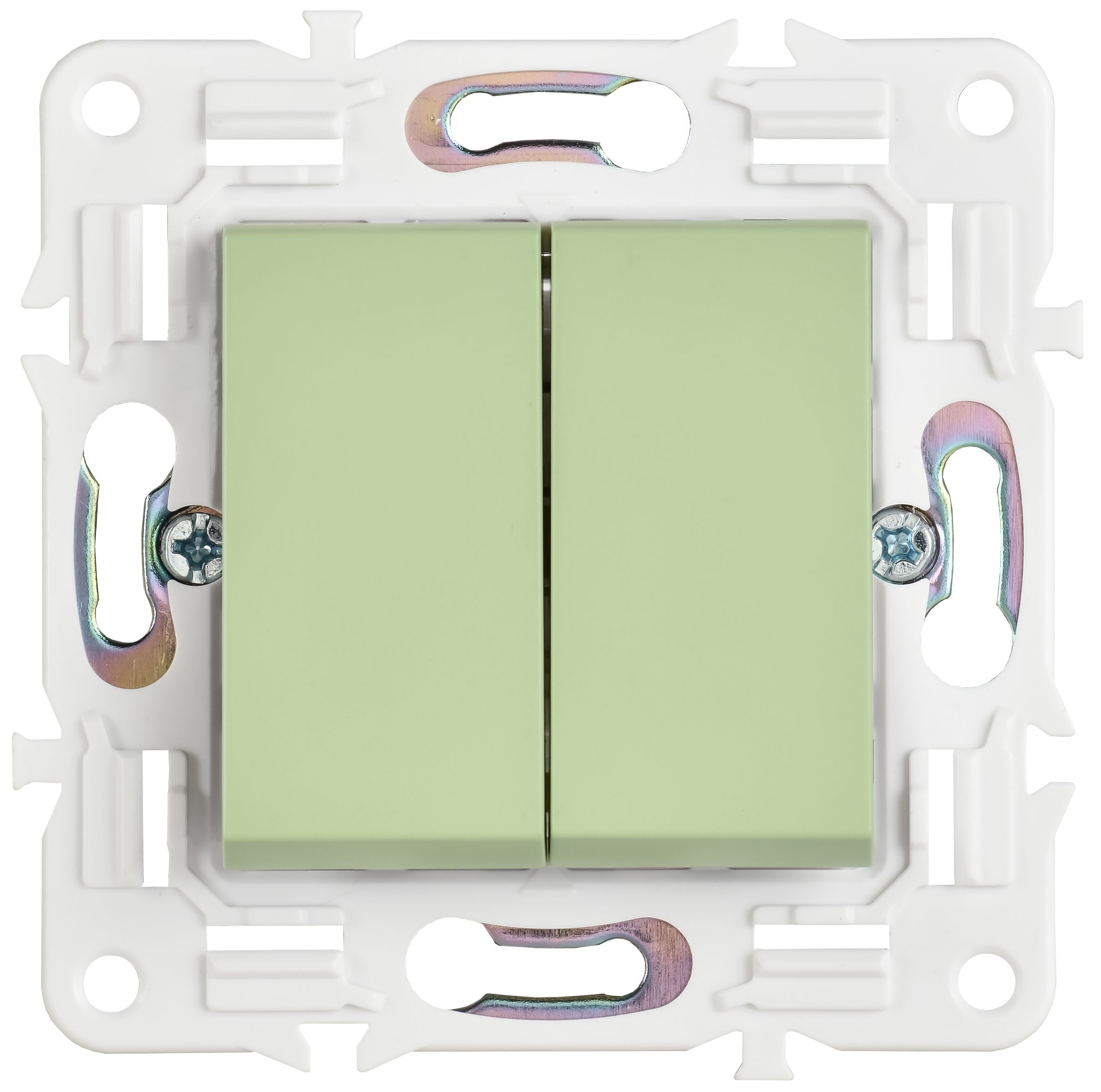             SKANDY Ажыратқыш 2 пернелі 10А SK-V04G жалбызды IEK    