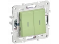             SKANDY Ажыратқыш 2 пернелі, индикациямен 10А SK-V09G жалбызды IEK    