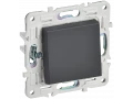             SKANDY Ажыратқыш 1 пернелі 10А SK-V01T титан IEK    