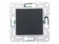             SKANDY Ажыратқыш 1 пернелі 10А SK-V01T титан IEK    