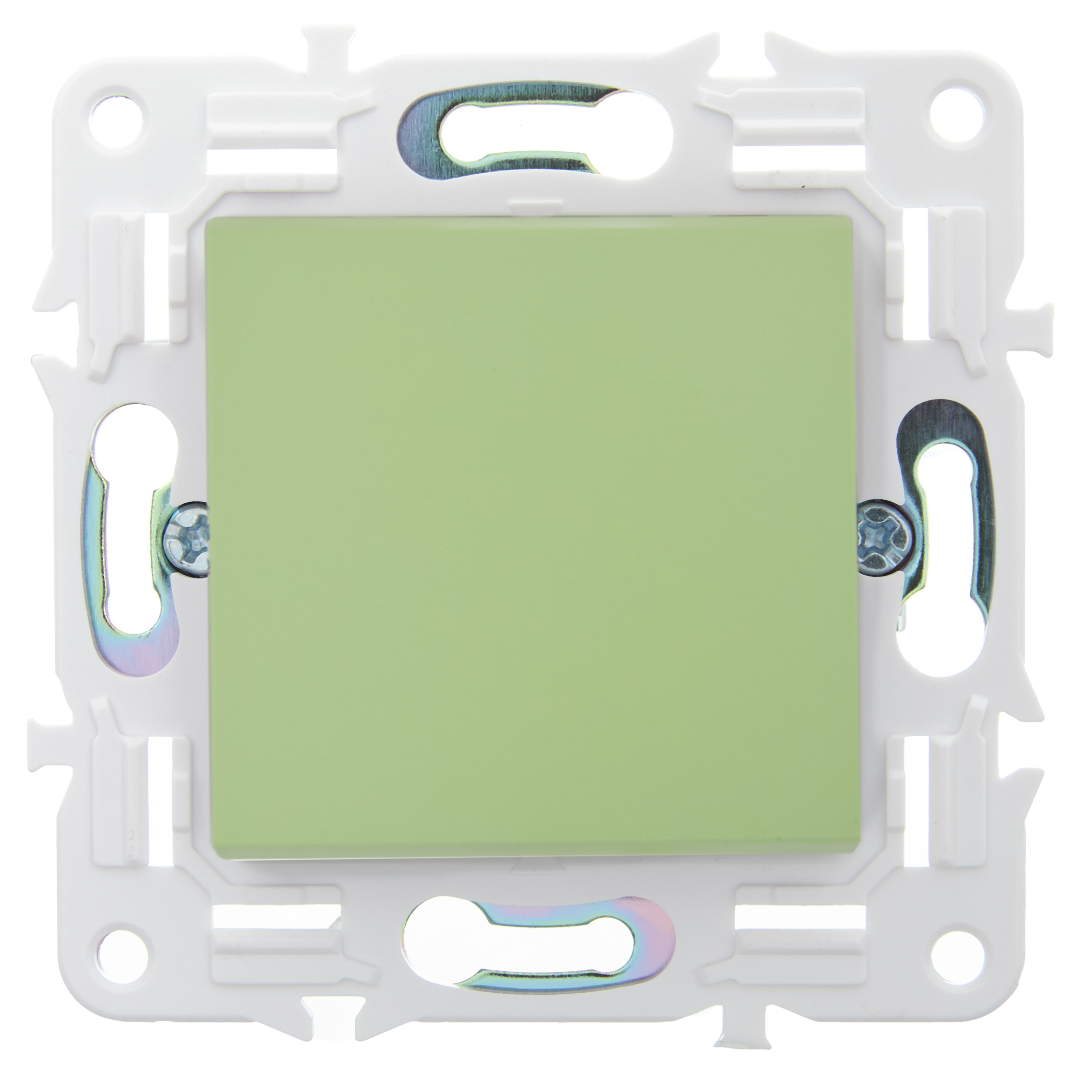             SKANDY Ажыратқыш 1 пернелі 10А SK-V01G жалбызды IEK    