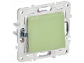             SKANDY Ажыратқыш 1 пернелі 10А SK-V01G жалбызды IEK    