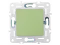             SKANDY Ажыратқыш 1 пернелі 10А SK-V01G жалбызды IEK    