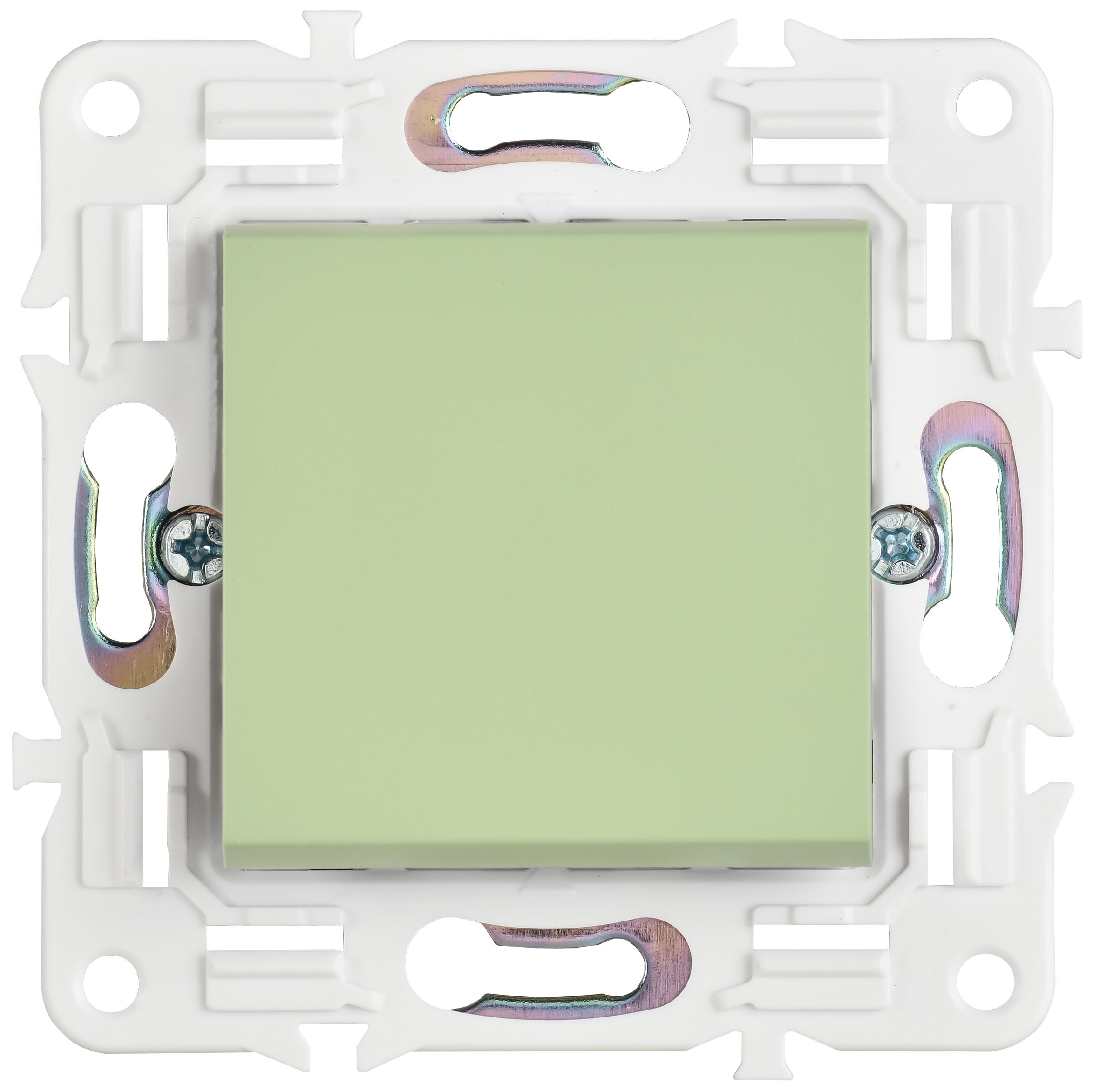             SKANDY Ажыратқыш, 1 пернелі, батырмалы 10А SK-V14G жалбызды IEK    