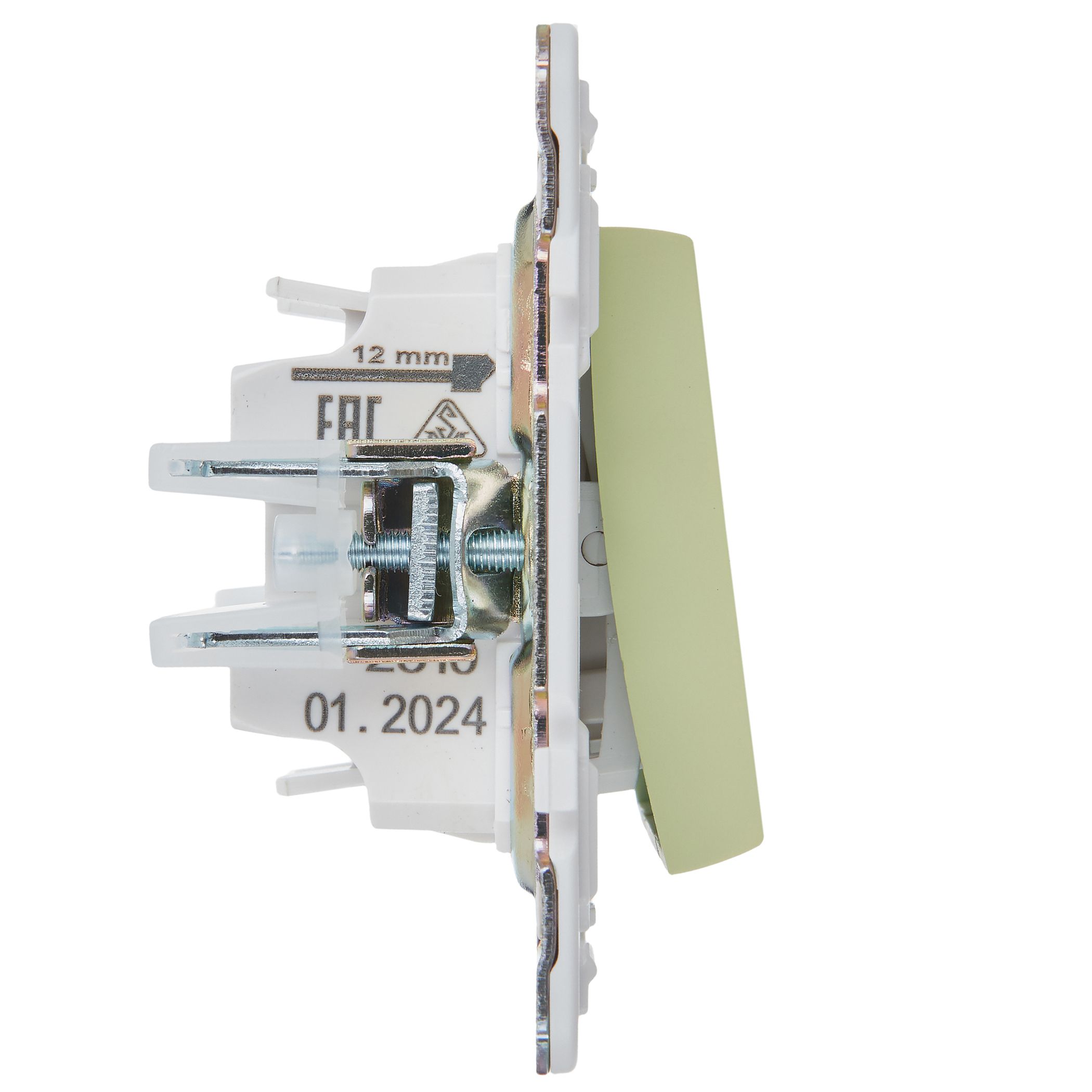             SKANDY Ажыратқыш, 1 пернелі, айқара 10А SK-V03G жалбызды IEK    