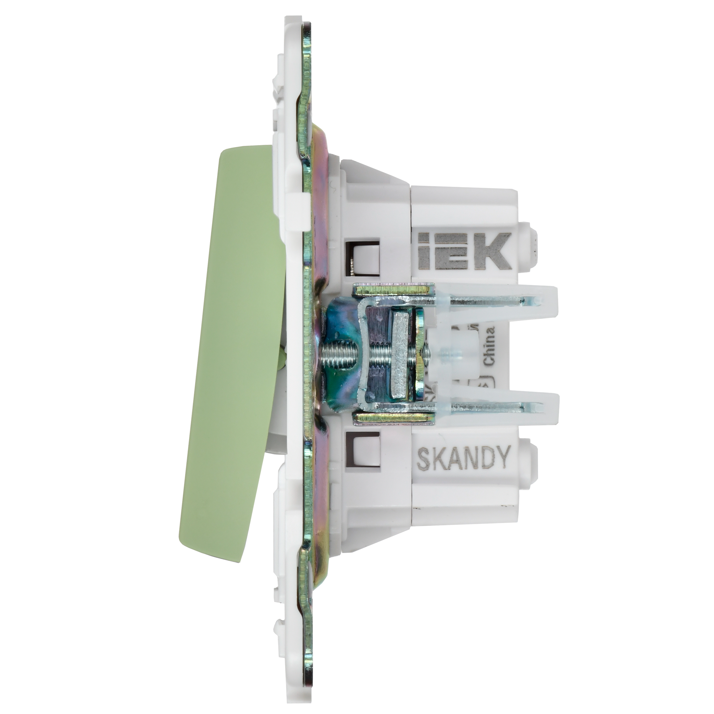             SKANDY Ажыратқыш, 2 пернелі, айқара 10А SK-V06G жалбызды IEK    