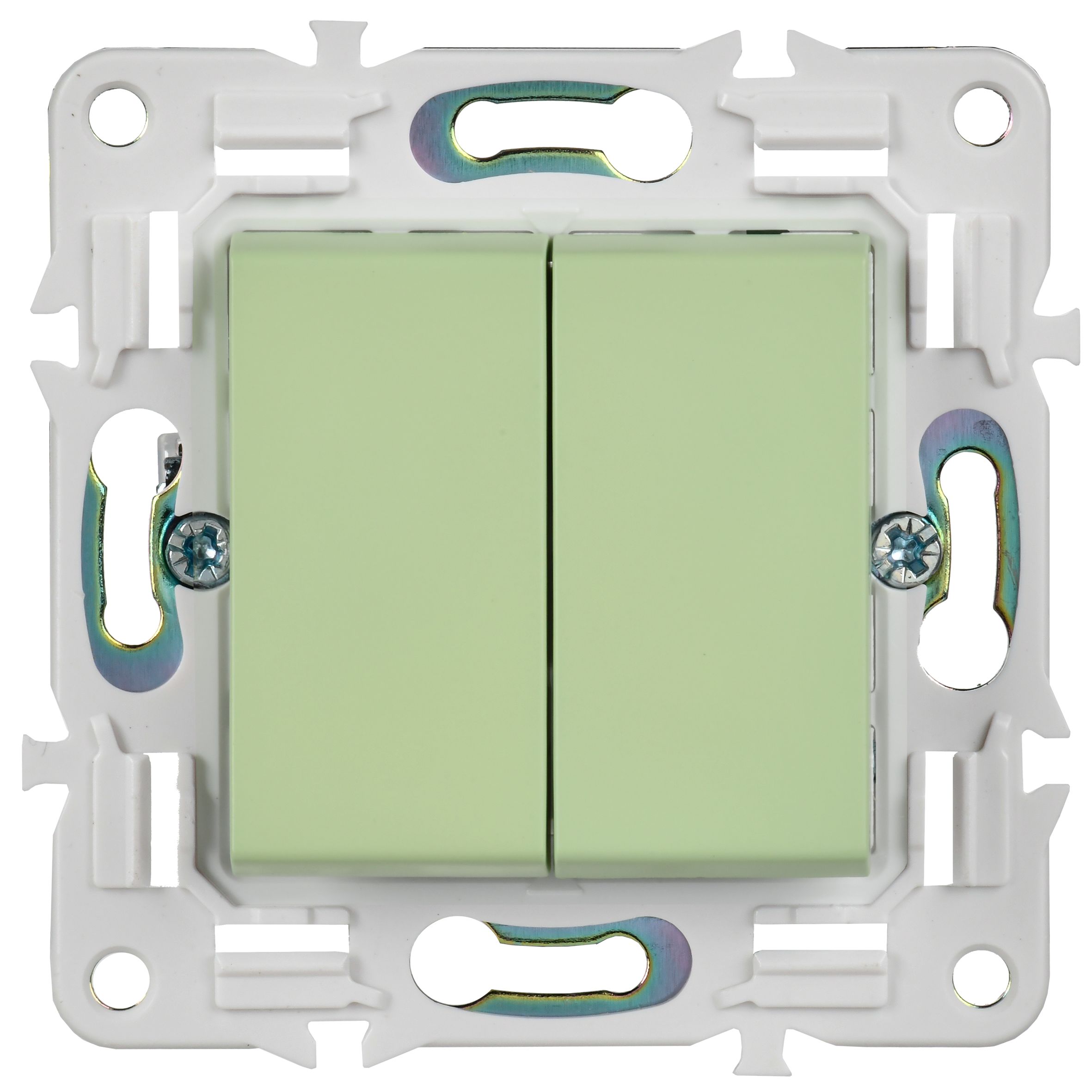             SKANDY Ажыратқыш, 2 пернелі, айқара 10А SK-V06G жалбызды IEK    