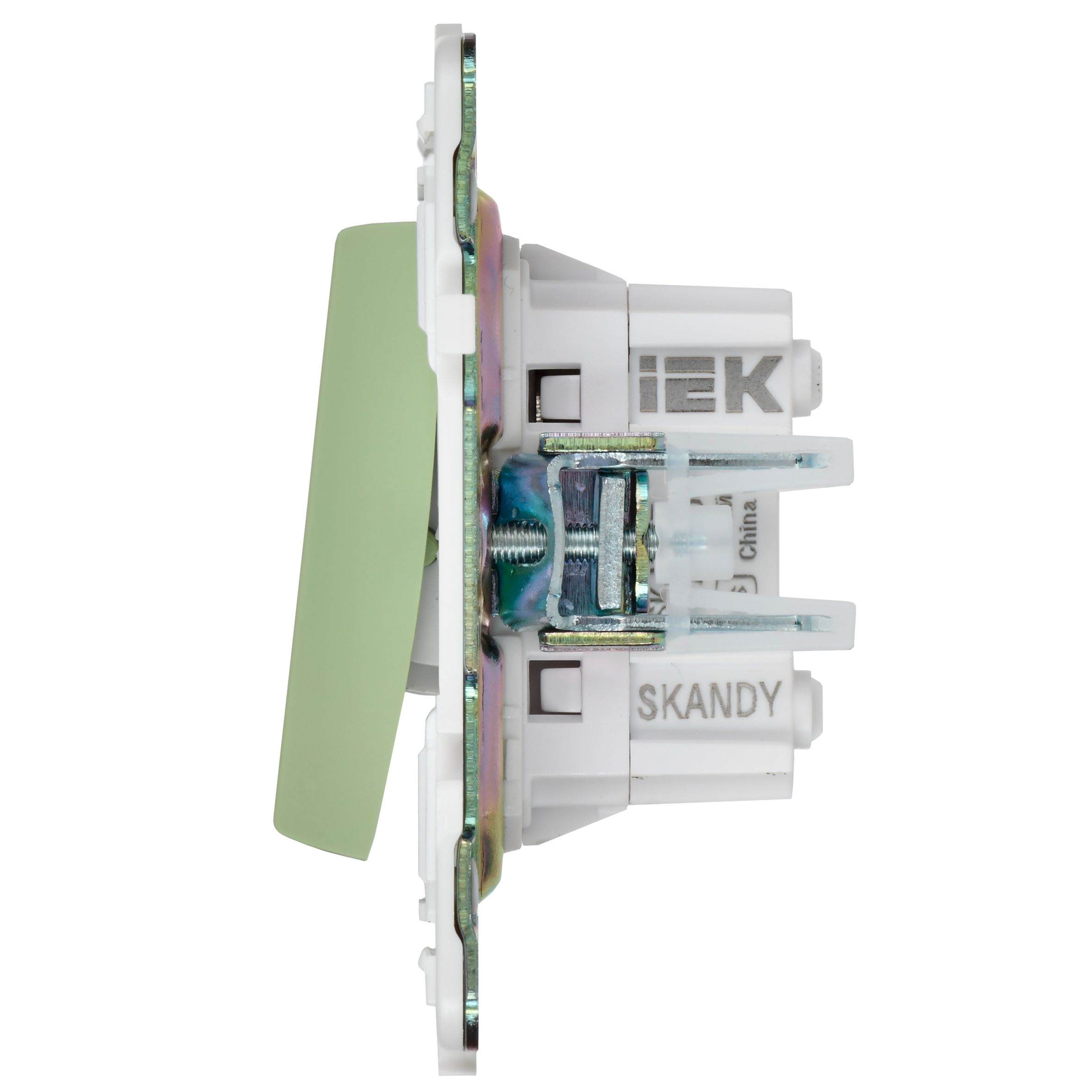             SKANDY Ажыратқыш, 2 пернелі, айқара 10А SK-V06G жалбызды IEK    