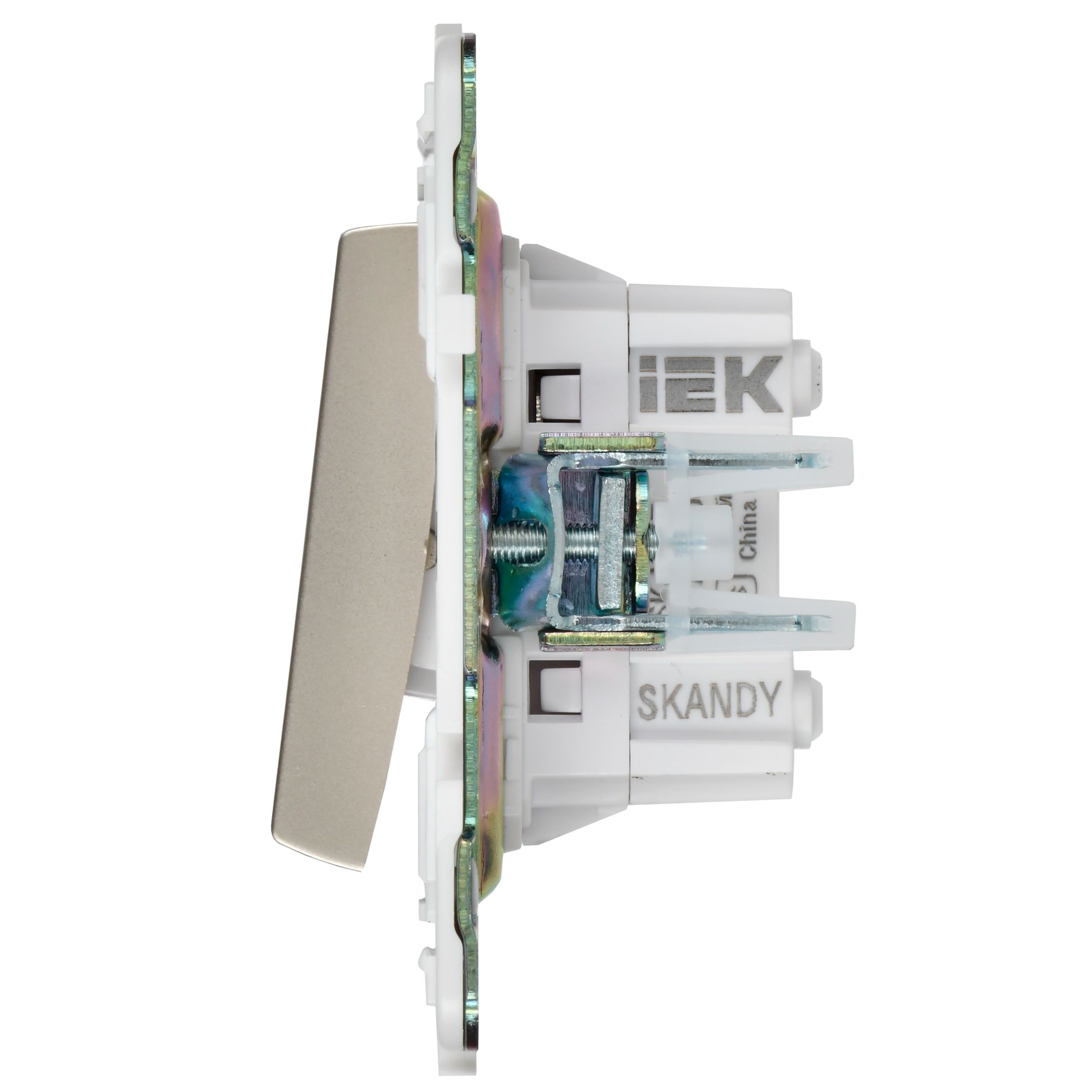             SKANDY Ажыратқыш, 2 пернелі, айқара 10А SK-V06Sh шампан IEK    