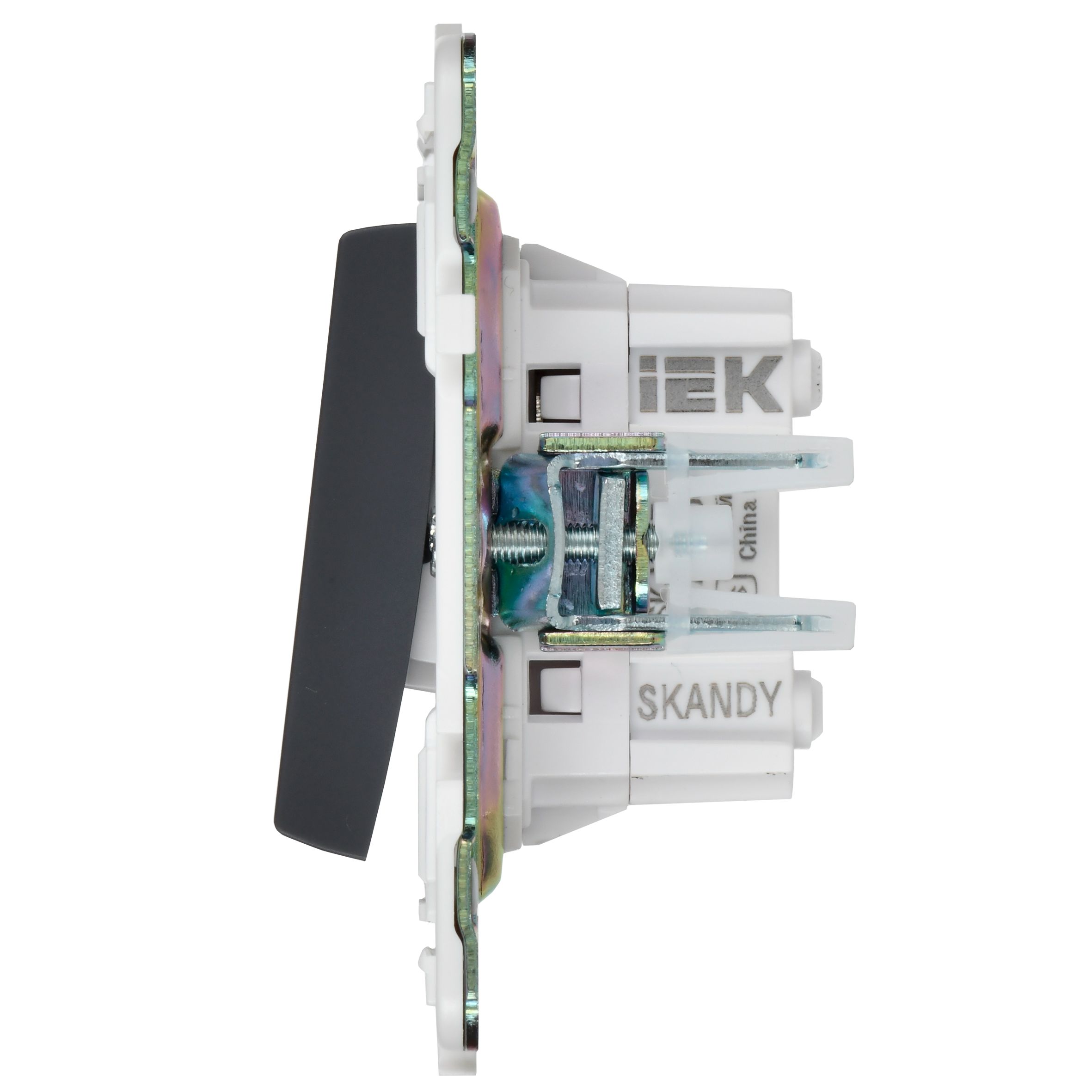             SKANDY Ажыратқыш, 2 пернелі, айқара 10А SK-V06T титан IEK    