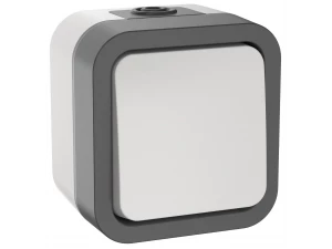 TORS Выключатель двухполюсный одноклавишный 10А IP55 TS211 серо-белый IEK