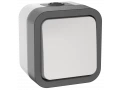 TORS Ажыратқыш, екі полюсті, бір пкрнелі 10А IP55 TS211 сұр-ақ IEK