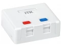             ITK Қабырғалы розетка корпусы, екі модульді орнату үшін Keystone Jack ақ    