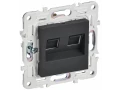             SKANDY Розетка, компьютерге арналған, екілі RJ45 категория 6 SK-K04G графит IEK    