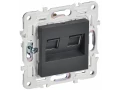             SKANDY Розетка, компьютерге арналған, екілі RJ45 категория 5Е SK-K03T титан IEK    