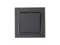             BRITE Ажыратқышы 1-пернелі 10А жиынтықта ВСP10-1-0-БрГ графит ИЭК    