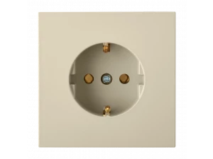 Розетка РС16-1602 бежевый