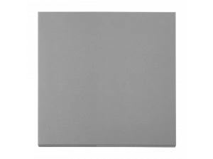 Выключатель С 110-3601 титан