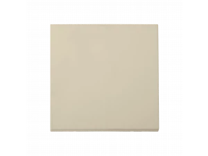 Выключатель С6 10-3661 бежевый