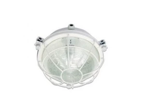 Светильник ДПП03-24-001 850