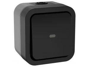 TORS Переключатель одноклавишный с индикацией 10А IP55 TS102 графит IEK