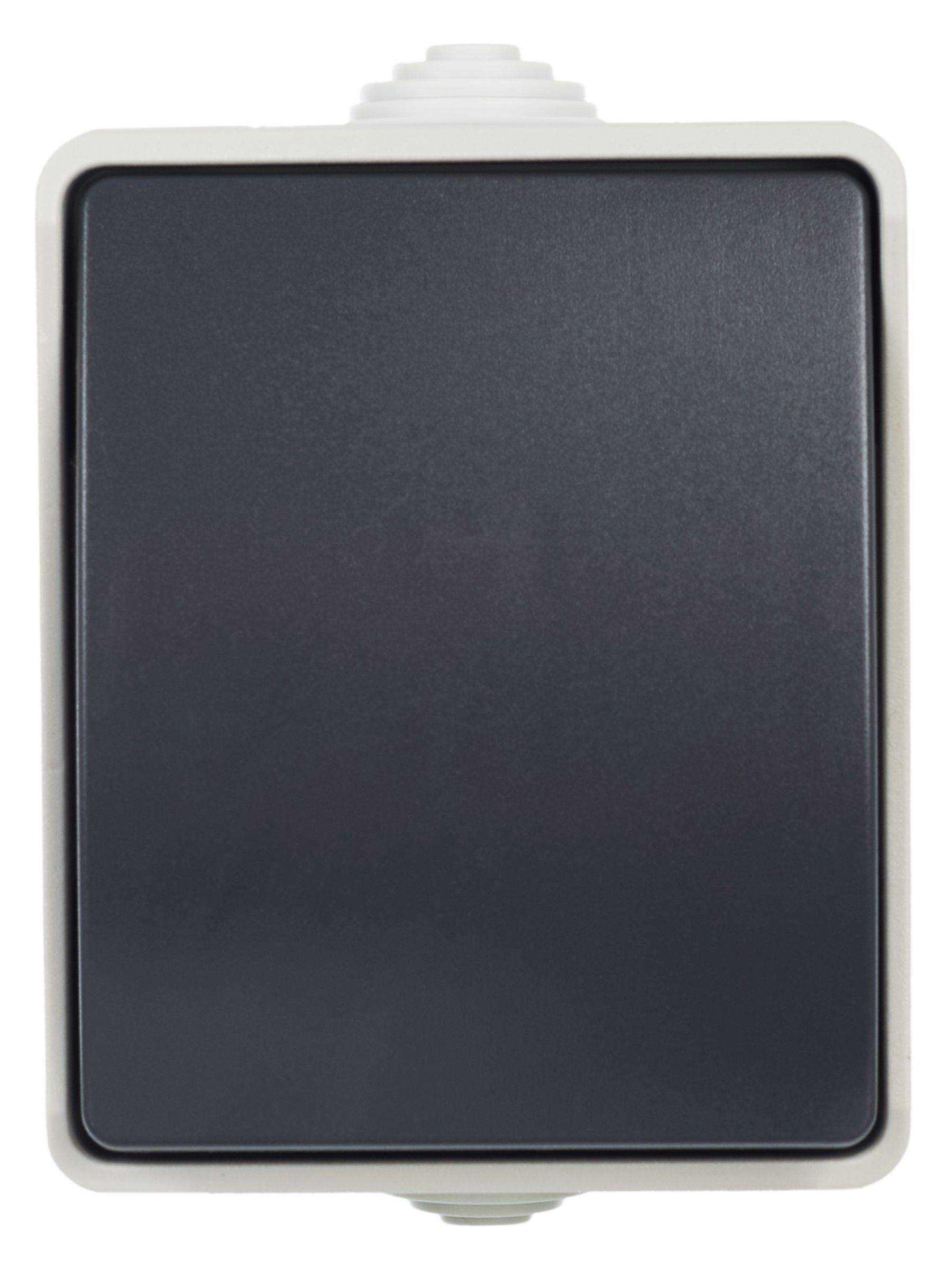             Ажыратқыш, пернелі, ашық түрде орнатуға арналған 10А IP54 ВСк20-1-0-ФСр сұр FORS IEK    