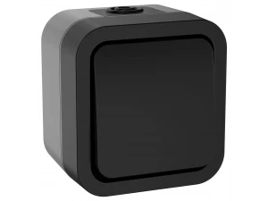 TORS Переключатель одноклавишный 10А IP55 TS101 графит IEK