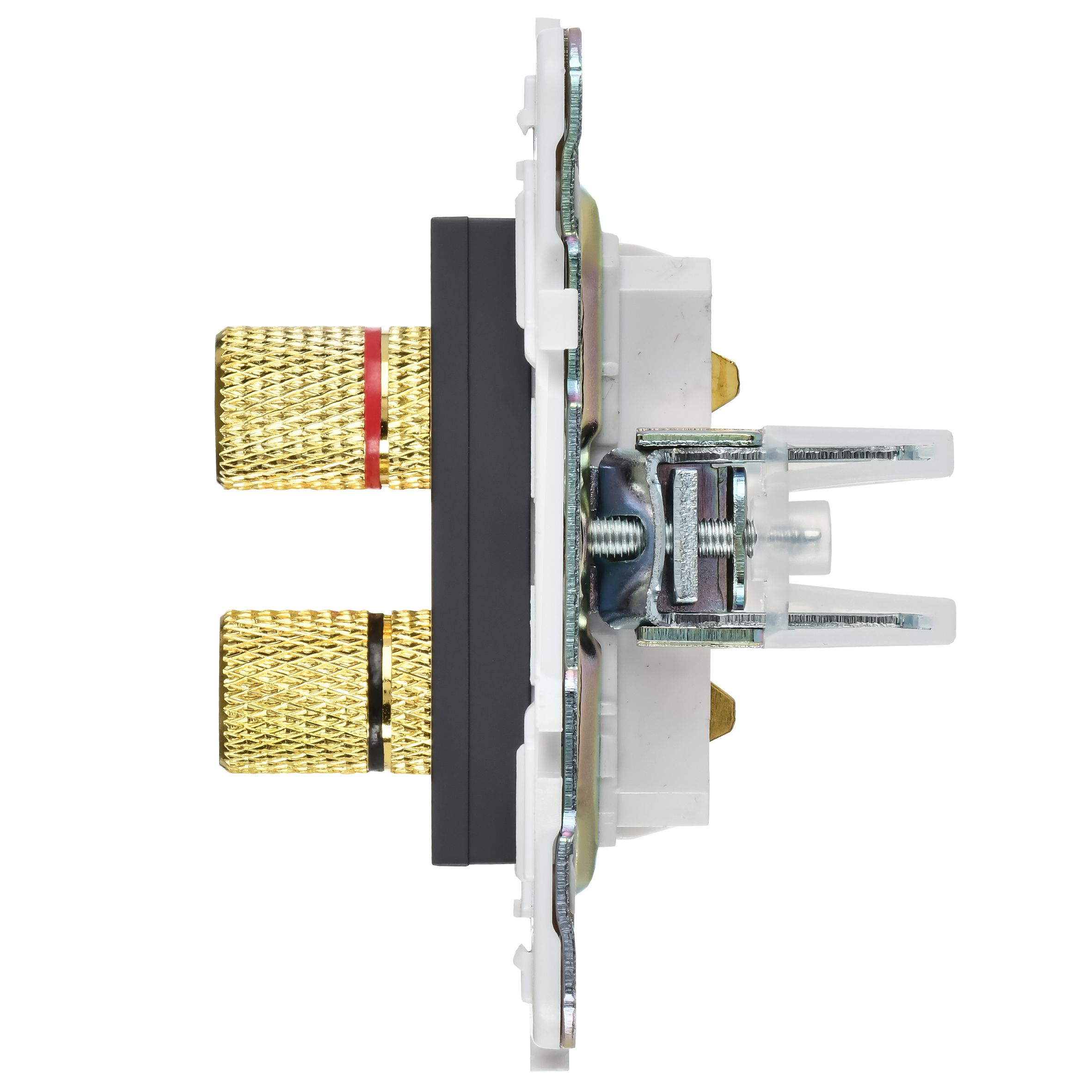             SKANDY Аудиорезетка 4-орынды SK-A01T титан IEK    