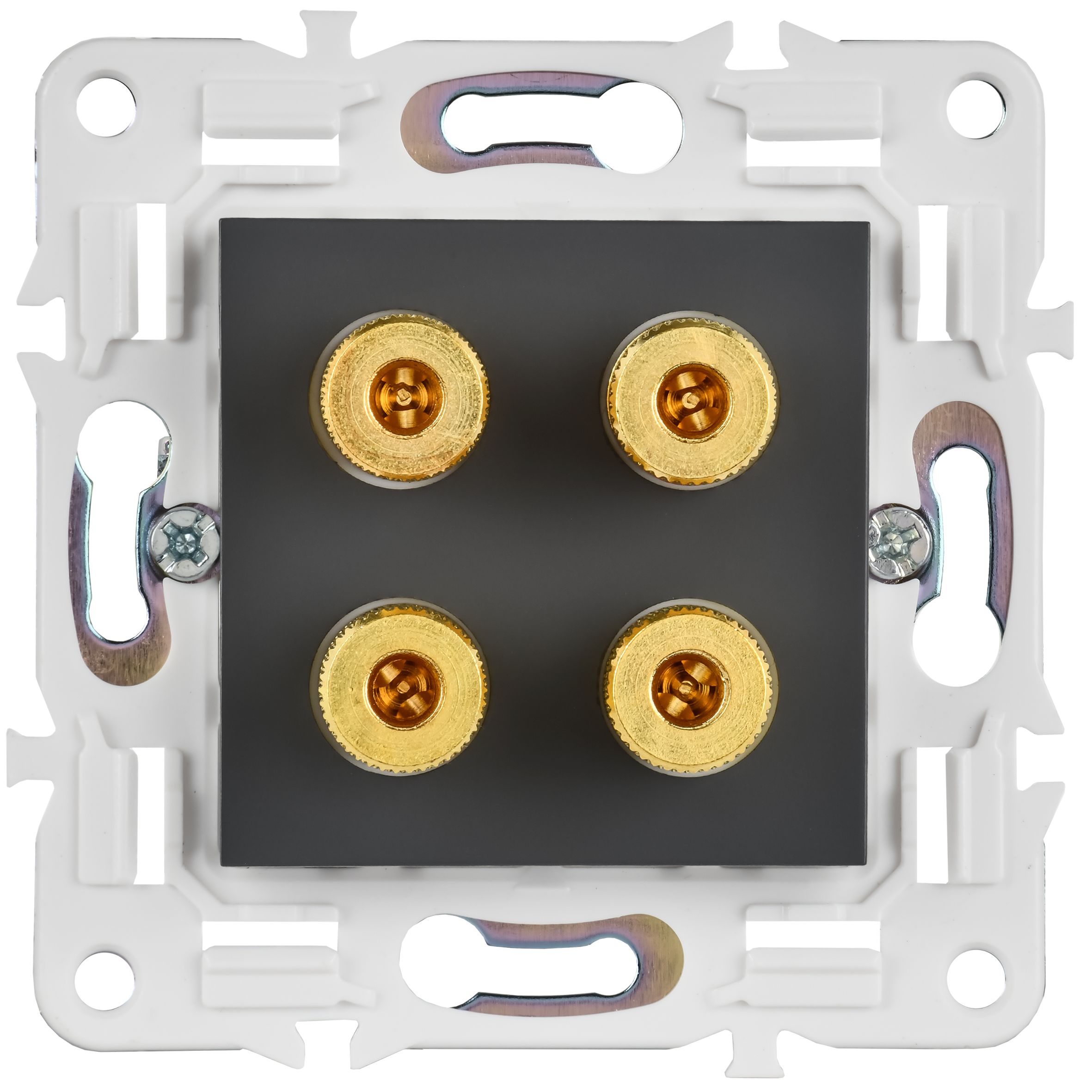             SKANDY Аудиорезетка 4-орынды SK-A01G графит IEK    